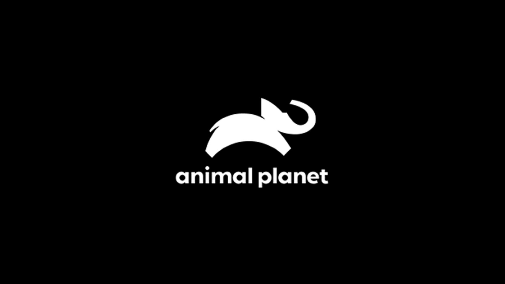 Animal Planet ao vivo,Animal Planet online,assistir Animal Planet,assistir Animal Planet ao vivo,assistir Animal Planet online,Animal Planet gratis,assistir Animal Planet gratis,ao vivo online,ao vivo gratis,ver Animal Planet,ver Animal Planet ao vivo,ver Animal Planet online,24 horas,24h,multicanais,piratetv,piratatvs.net
