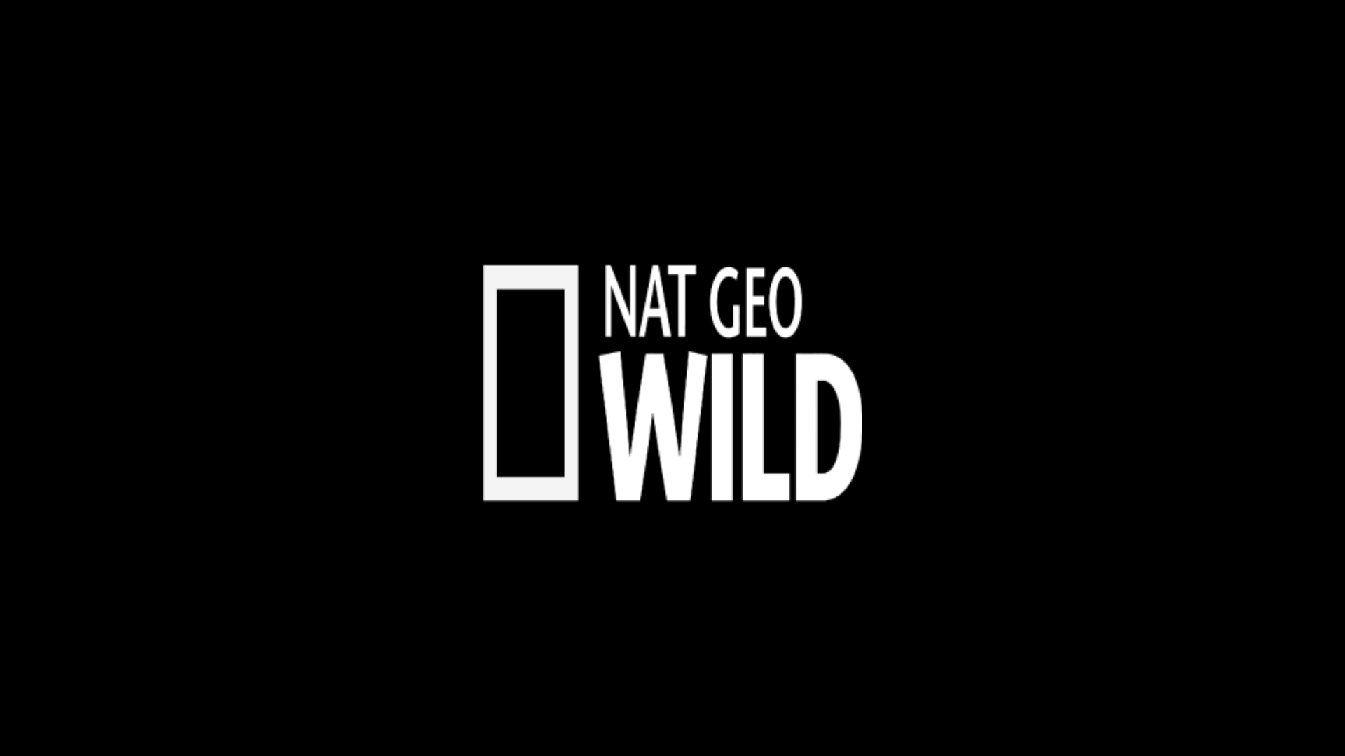 NatGeo Wild ao vivo,NatGeo Wild online,assistir NatGeo Wild,assistir NatGeo Wild ao vivo,assistir NatGeo Wild online,NatGeo Wild gratis,assistir NatGeo Wild gratis,ao vivo online,ao vivo gratis,ver NatGeo Wild,ver NatGeo Wild ao vivo,ver NatGeo Wild online,24 horas,24h,multicanais,piratetv,piratatvs.net